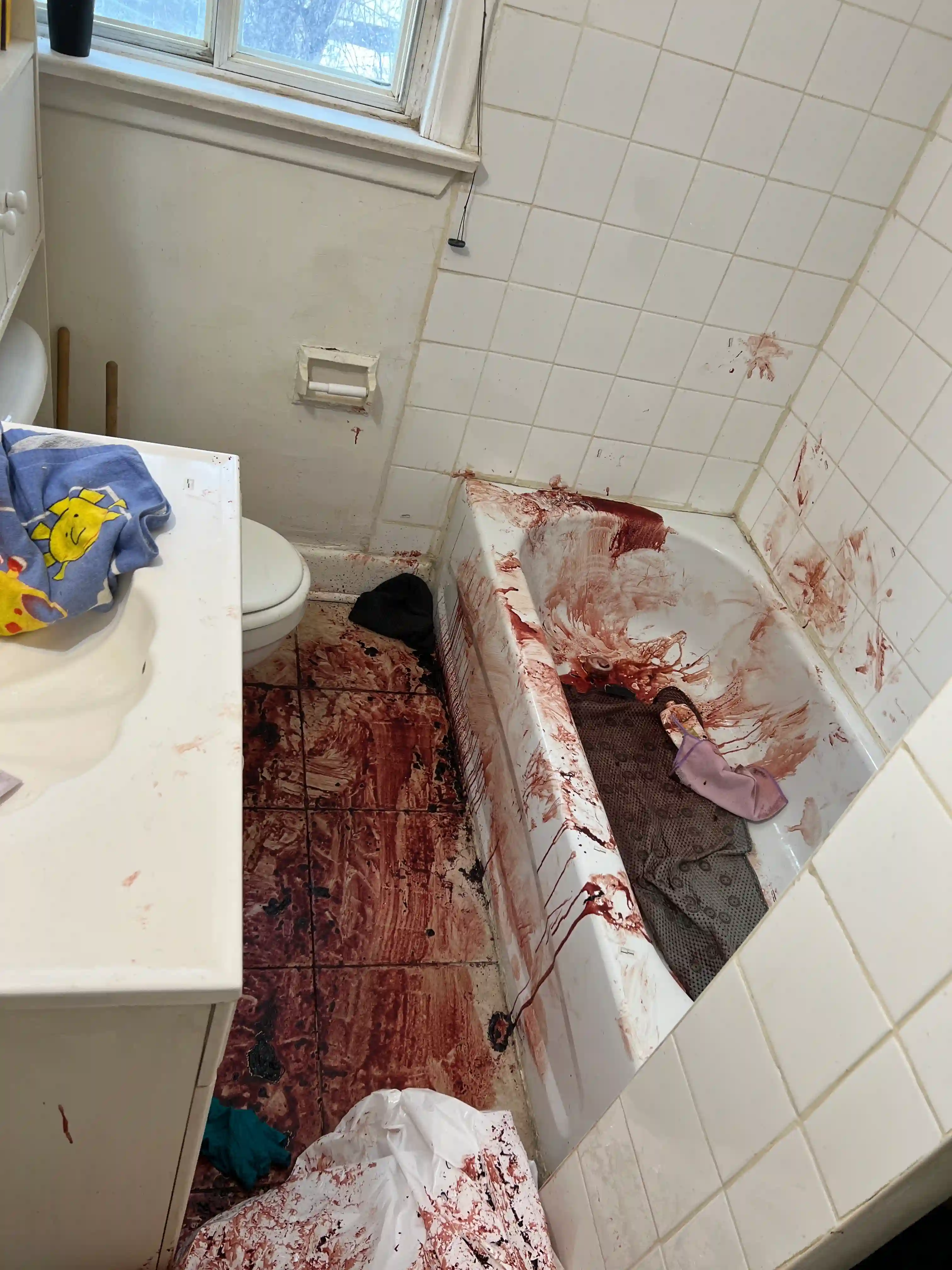 Toronto biohazard after death cleanup - before